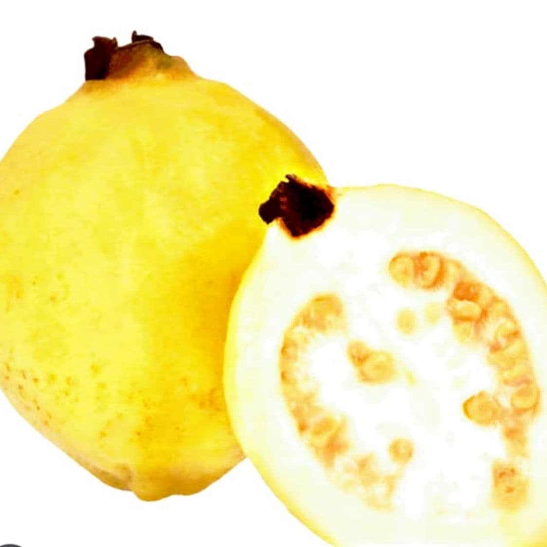 Agua de Guayaba 1Lt