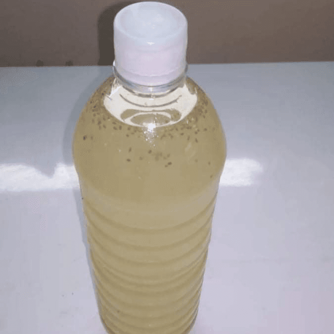 Agua de Limón con Chia