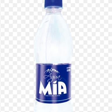 Agua botellal 500ml