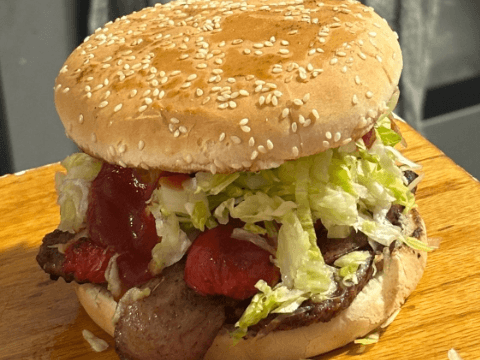 comida y antojitos el mago