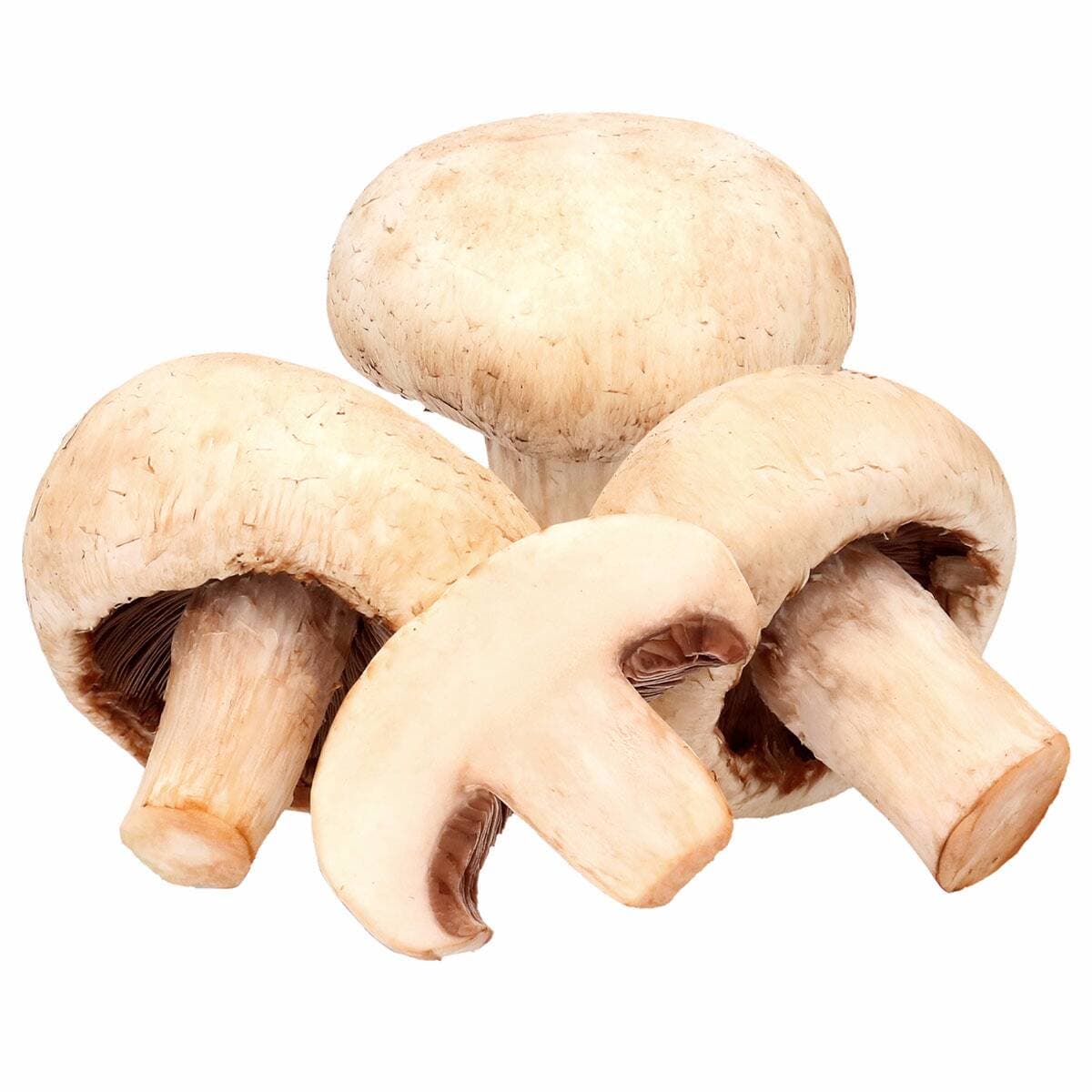 Champiñon 250g
