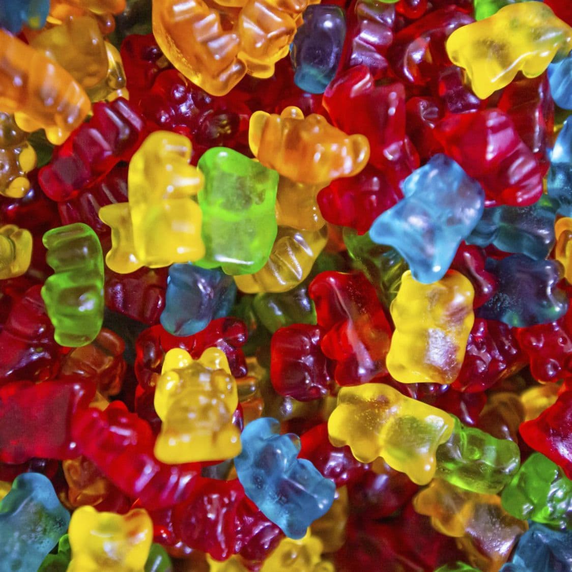 Panditas