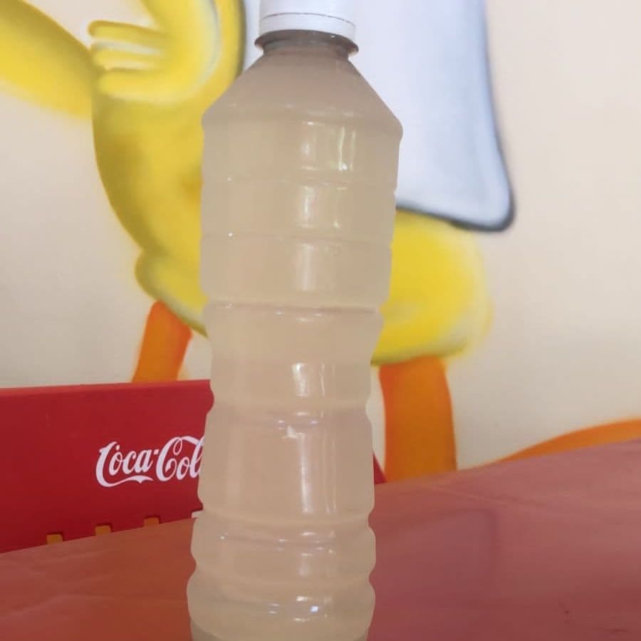 Agua de Limón con chía medio litro