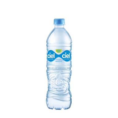 Agua Natural Embotellada 600ml