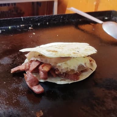 Gringa suadero