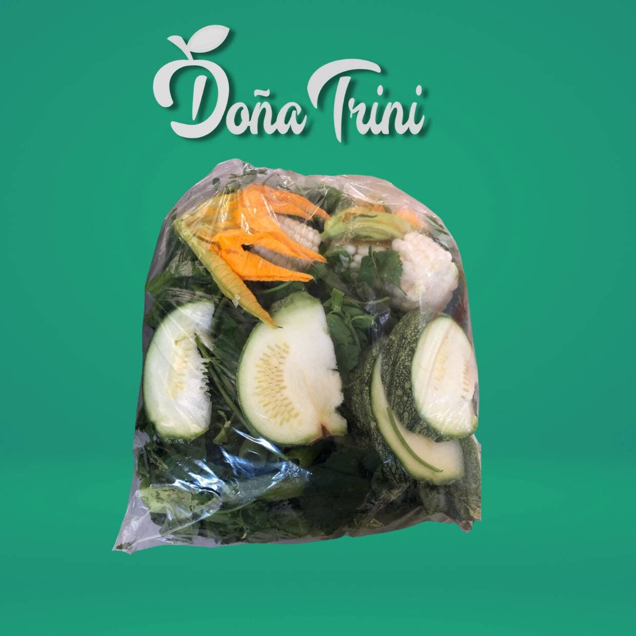 Bolsa de Guias
