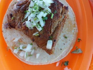 Gringa de Birria