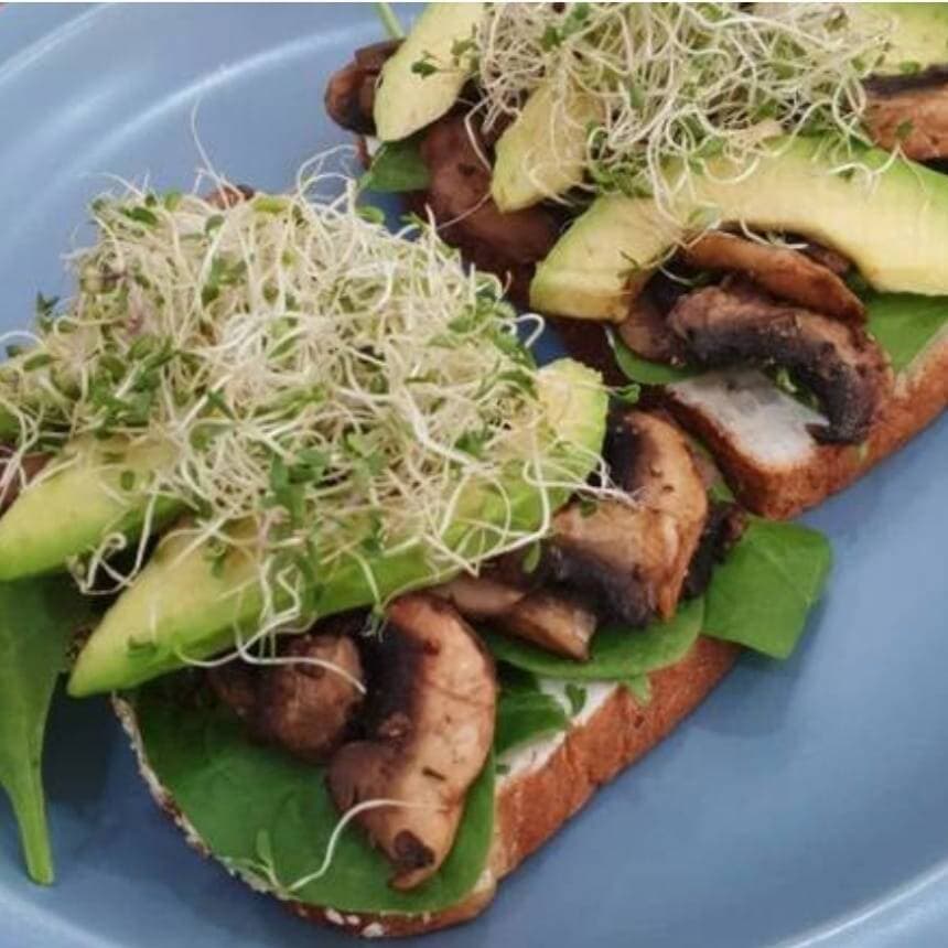 Champiñón Toast