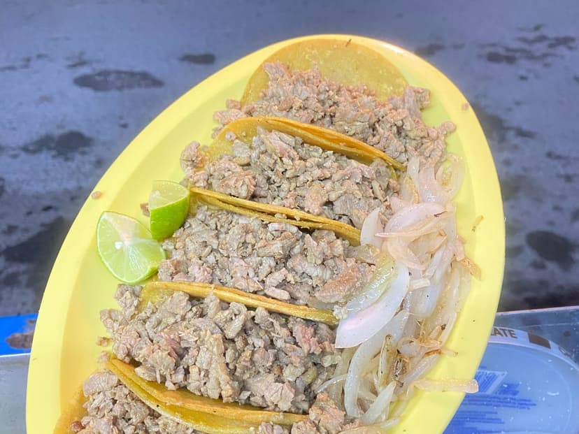Tacos & Gringas "El 55"