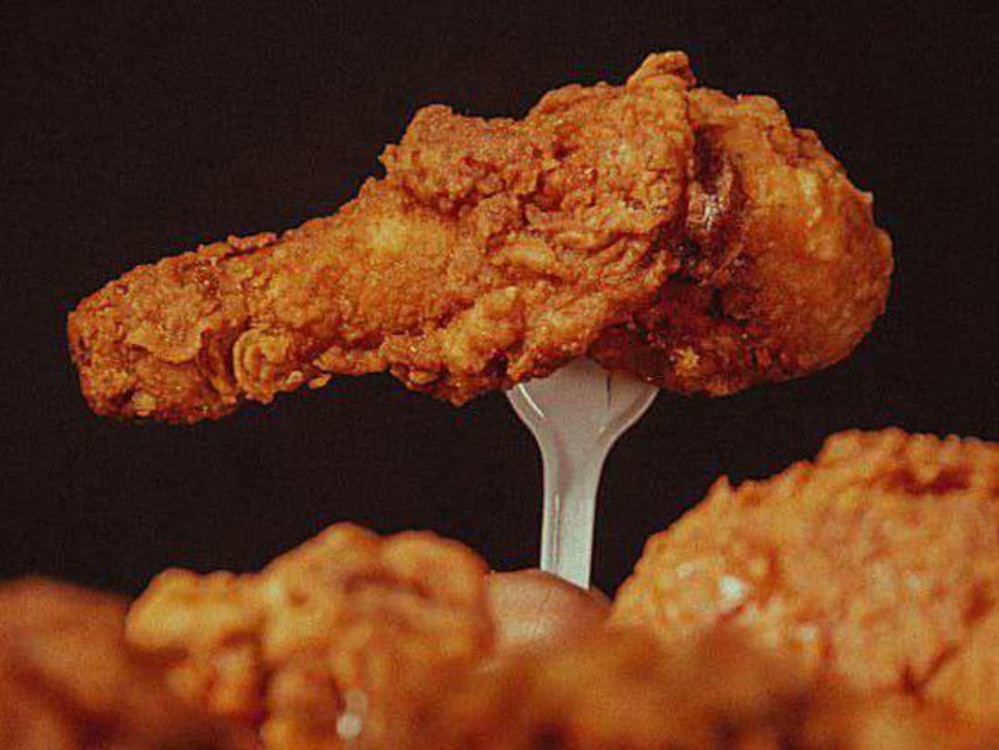 Pollo Cartoons