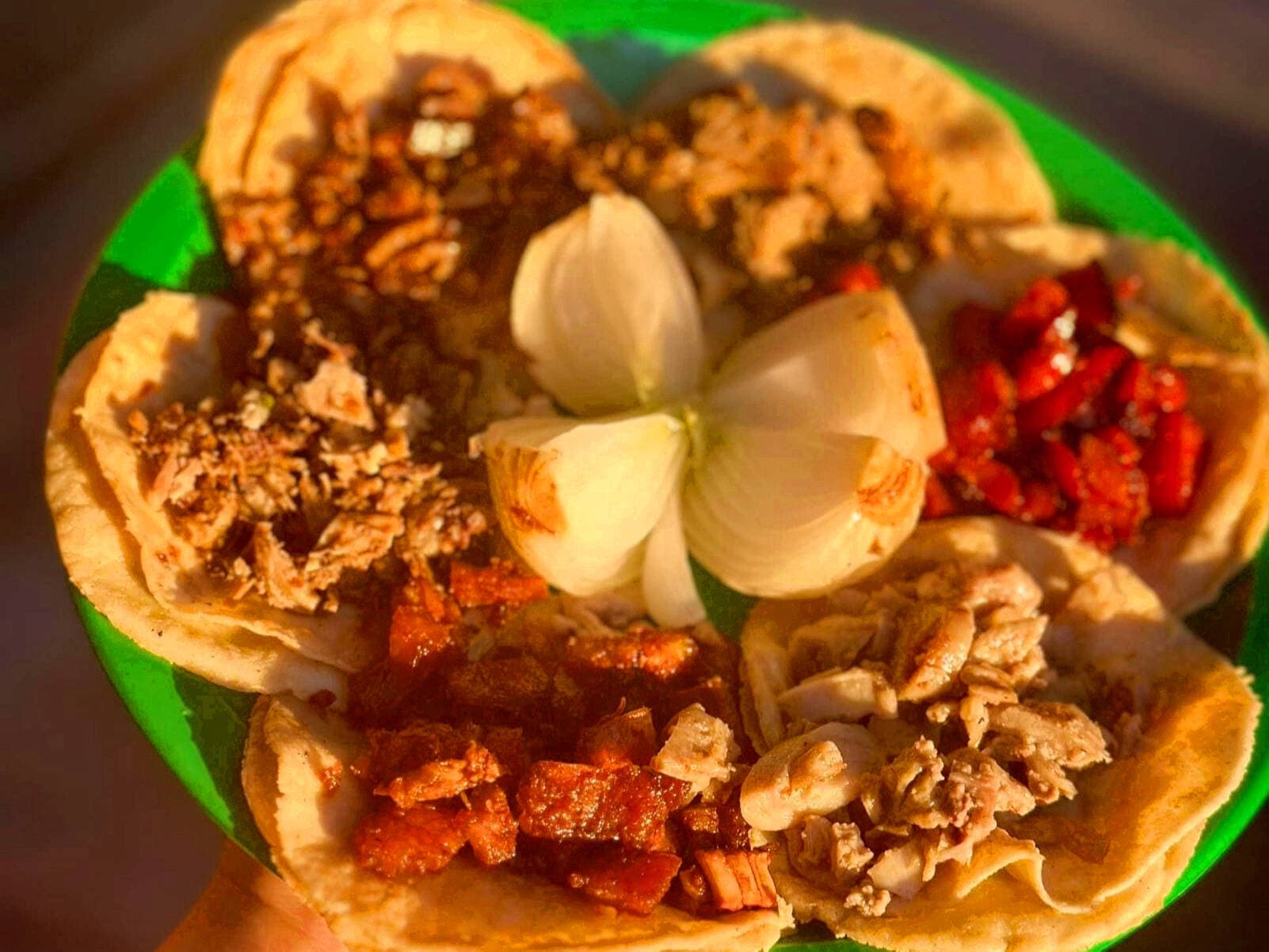 Taqueria Gaitan Guisados