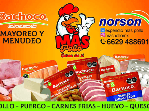 MAS POLLO