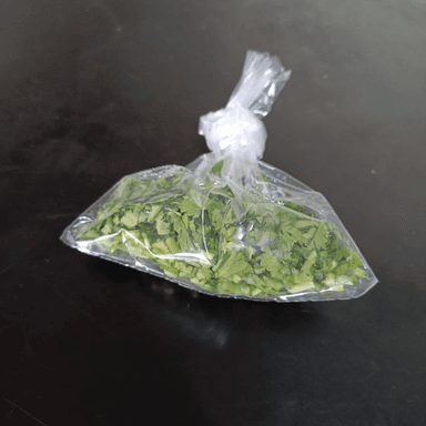 Cilantro Extra