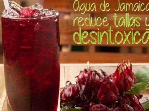 Agua de Jamaica