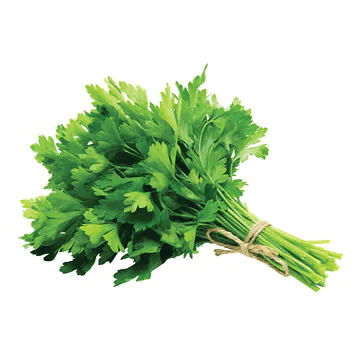Perejil Rollo