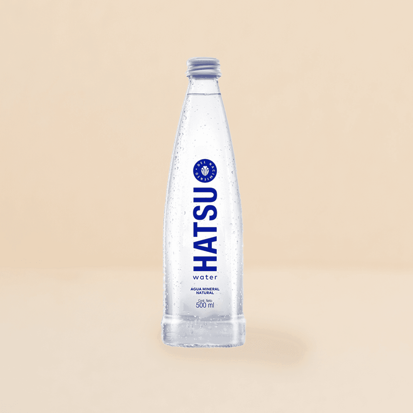 Agua sin gas 300ml
