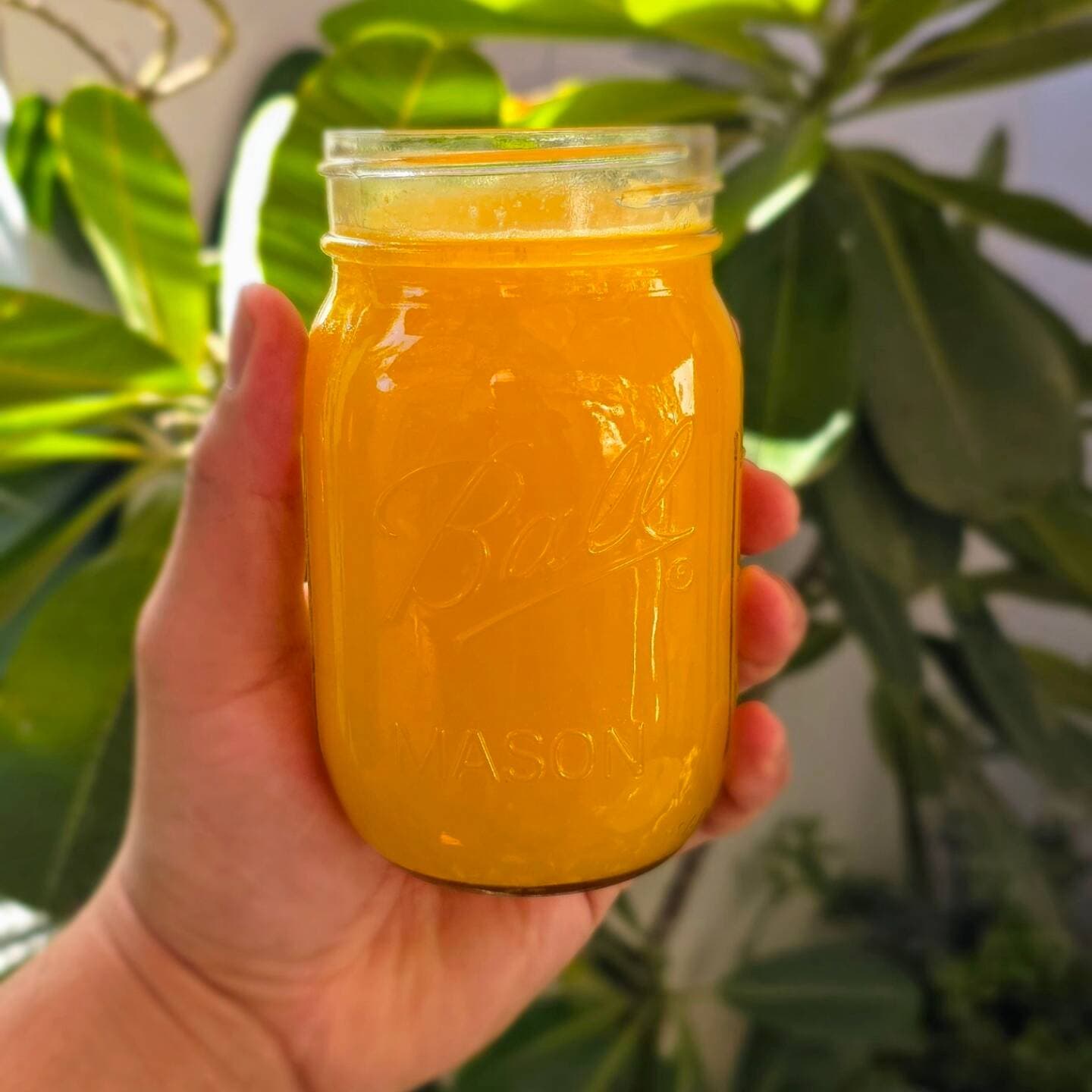 Jugo de naranja 16 oz