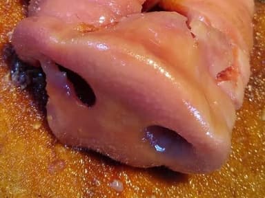 Taco de Trompa
