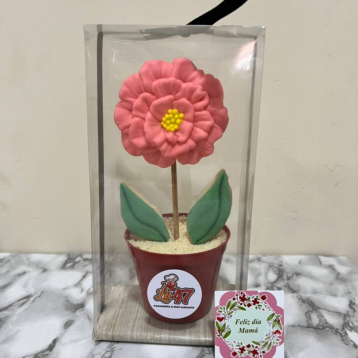 Maceta de Camelia