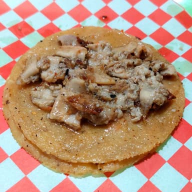 Tripa