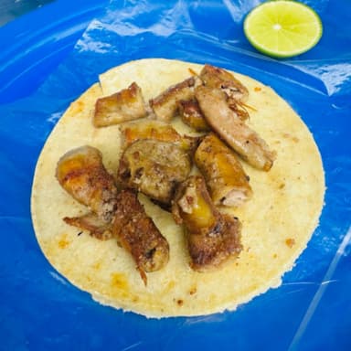 Tripa