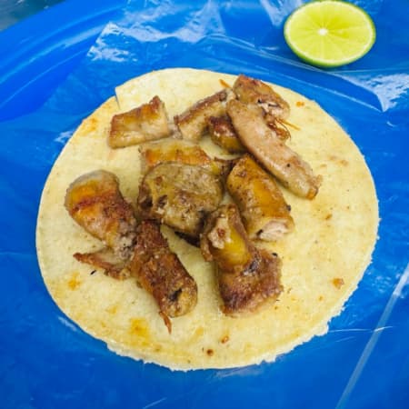 Tripa
