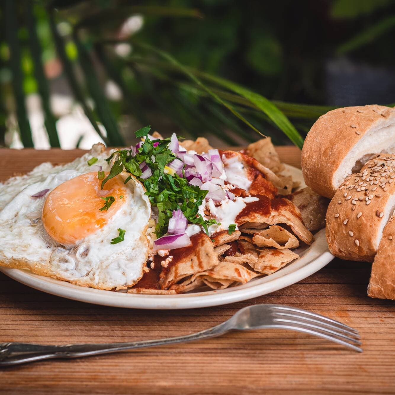 Chilaquiles Sencillos Medianos