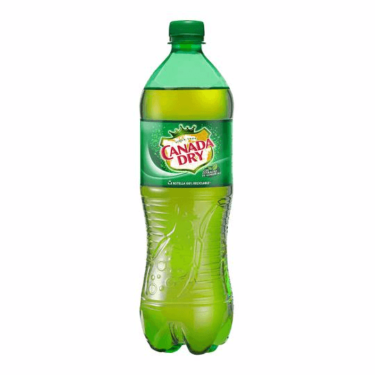 Canada Dry Ginger Ale 600 ml