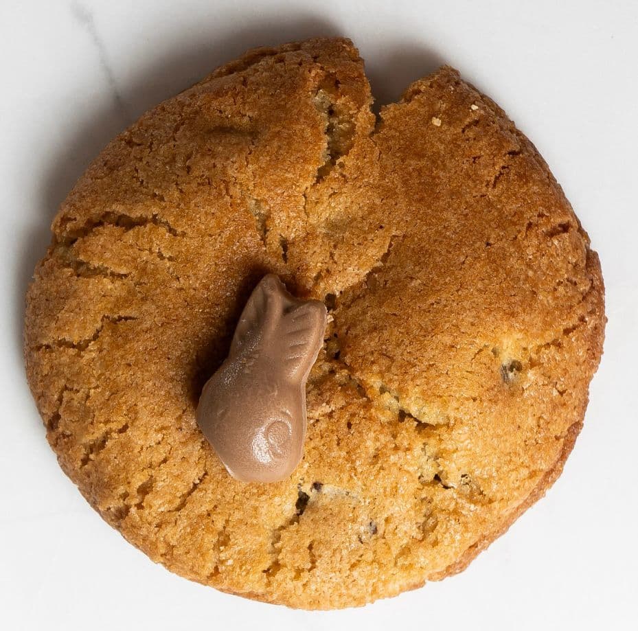 Galleta Conejo Turín.