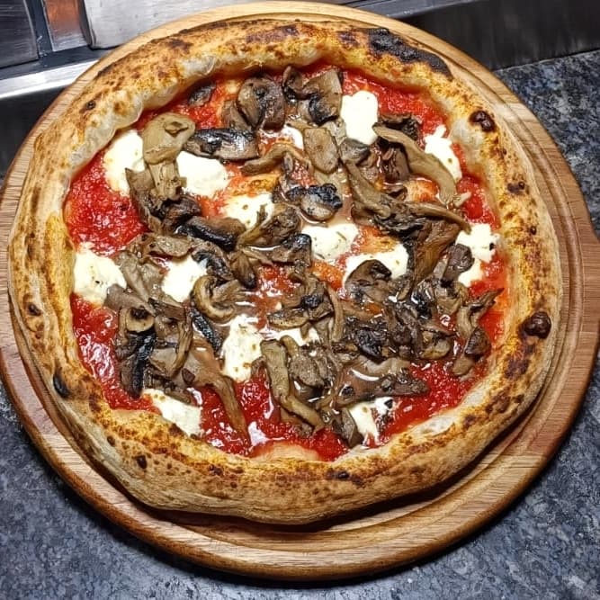 Hongos