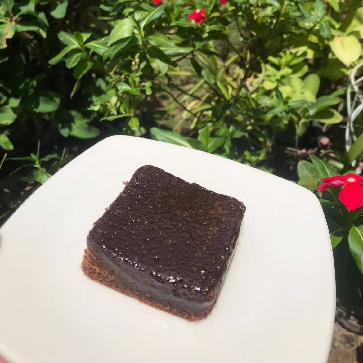 Brownie XL