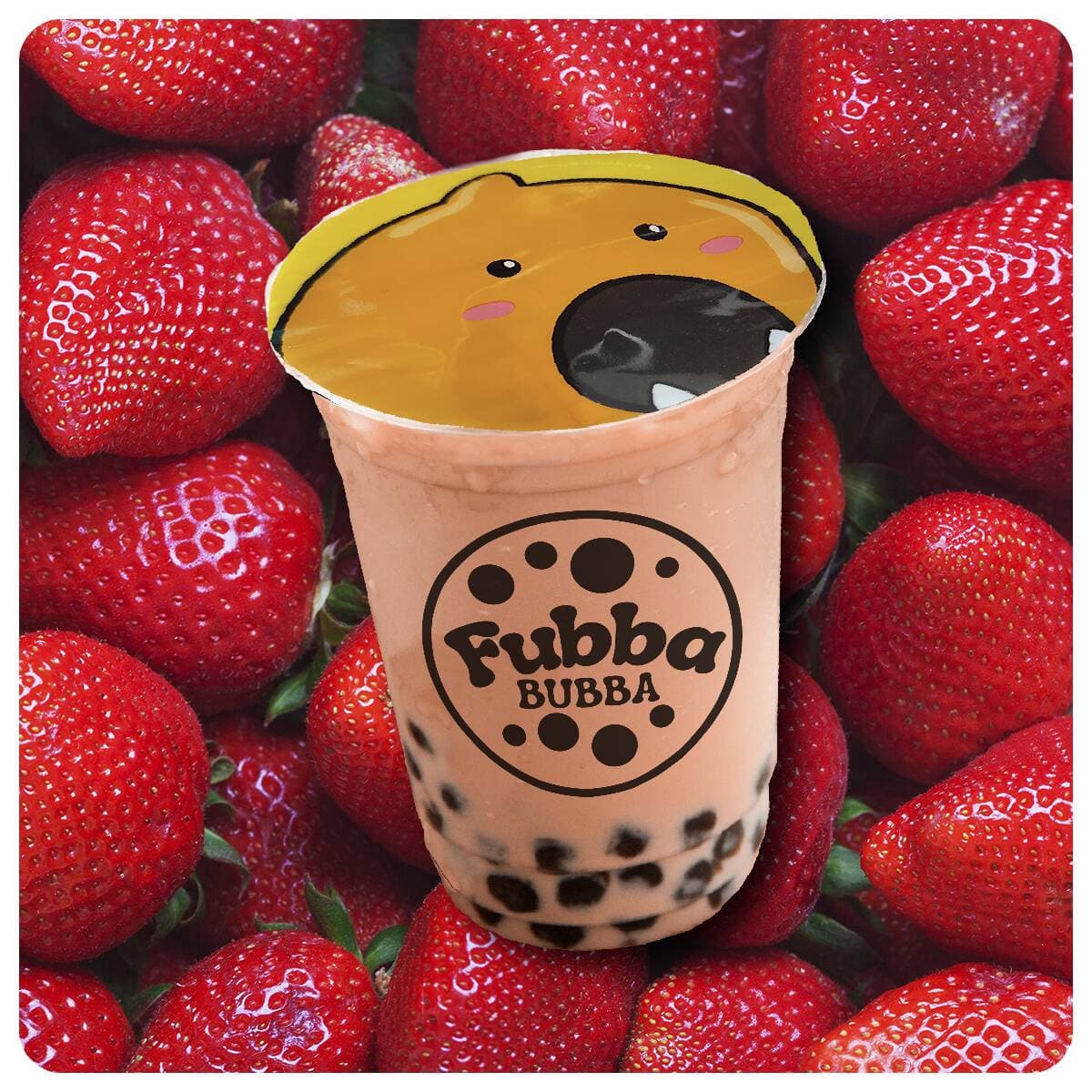 Fubba Fresa