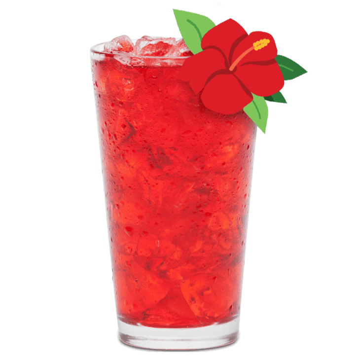 Agua Fresca de Jamaica Natural 500 Ml.