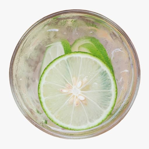 Limonada 9 onz