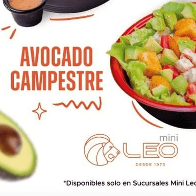 Ensalada avocado campestre
