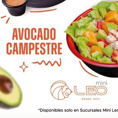 Ensalada avocado campestre