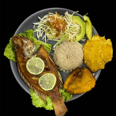 Tilapia Belga