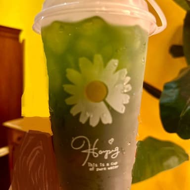 Té Thailand Verde con Bobo 500ml