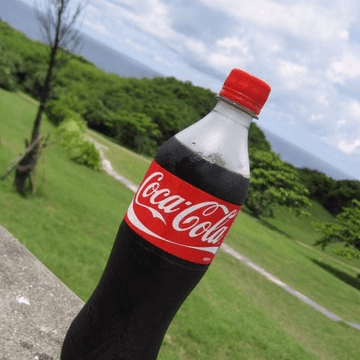 EL COCON
