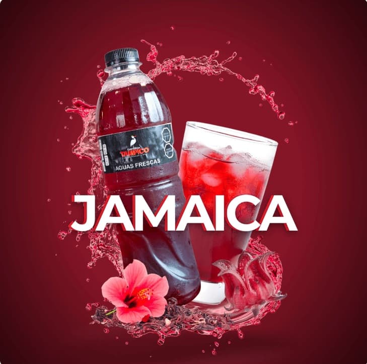 Agua de Jamaica 500 ml