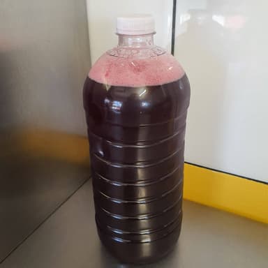 Agua de Jamaica 1 L