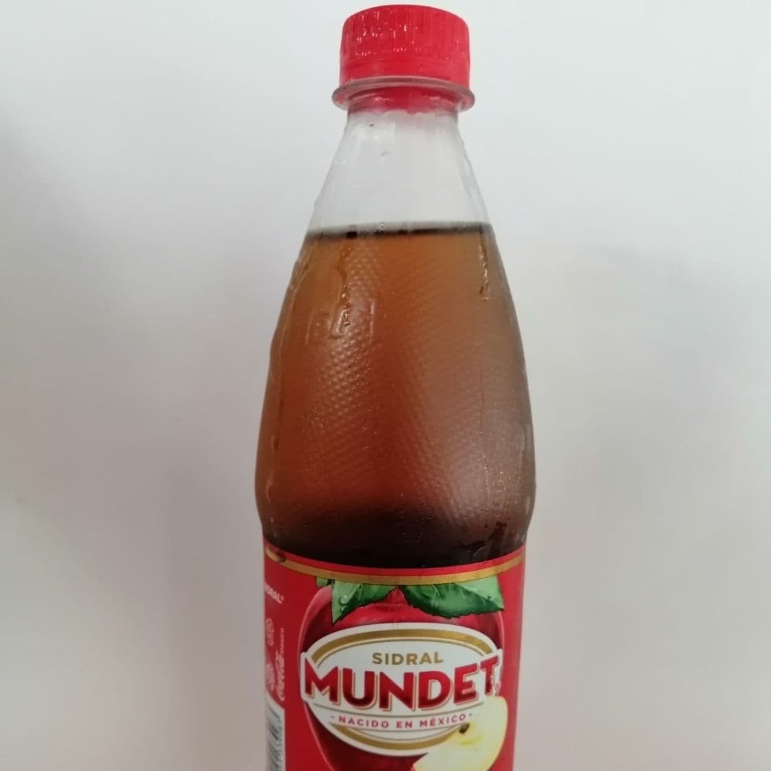 Sidral Mundet Manzana 600 ml