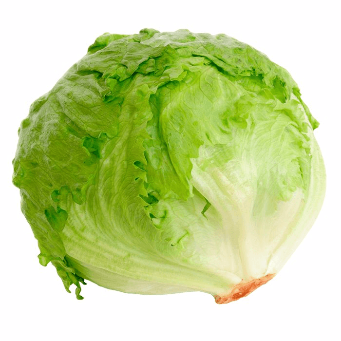Lechuga Romana Pza