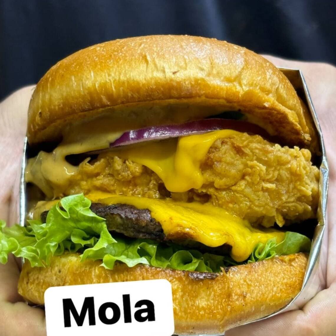 Hamburguesa La Mola