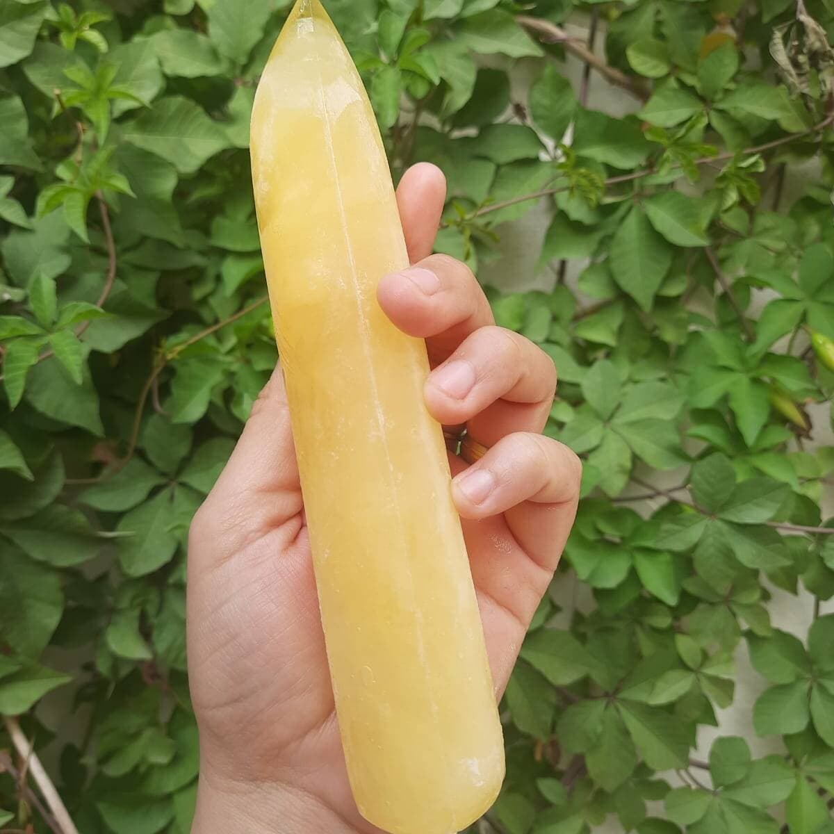 Boli de Naranjita