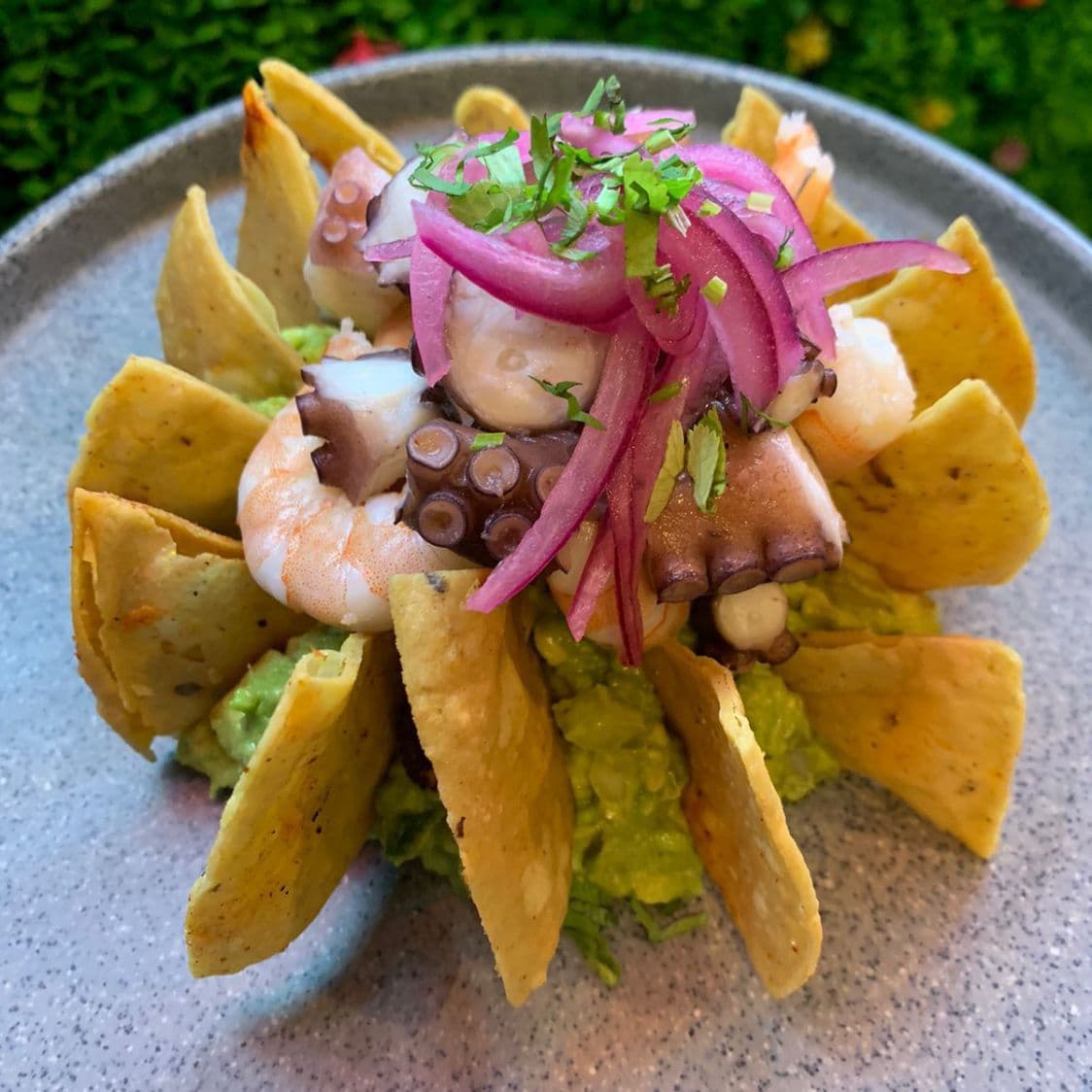 Guacamole marino