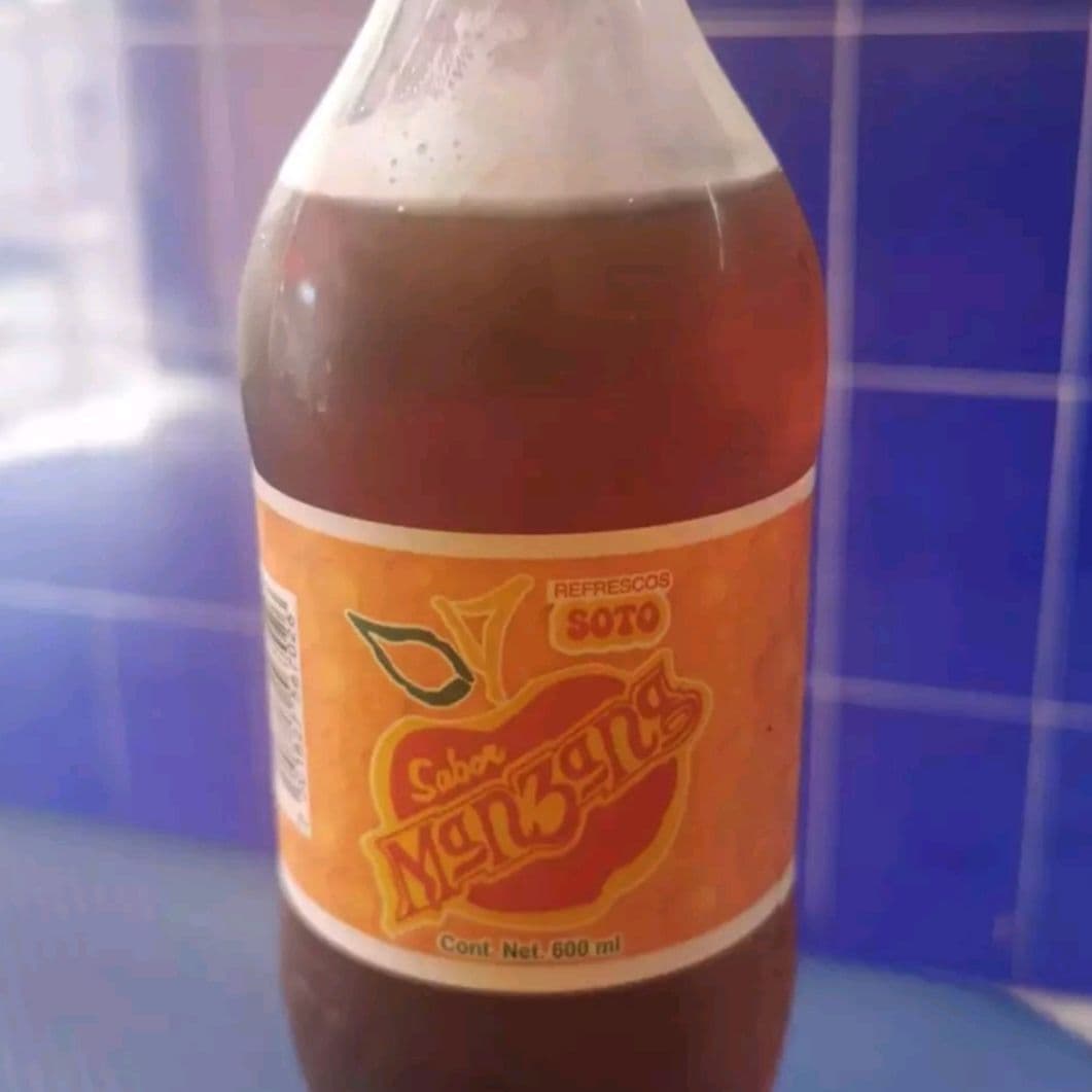 Manzanita Soto 600ml
