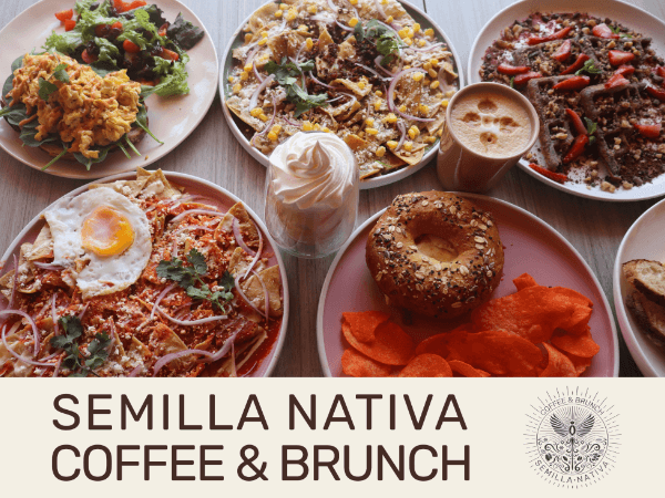 Cafetería Semilla Nativa