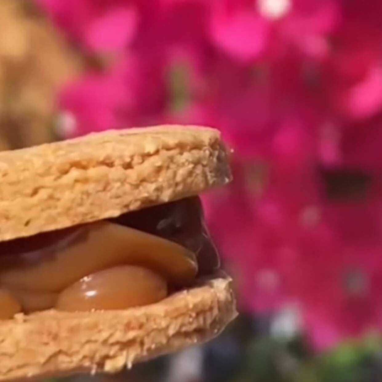 Alfajores Gluten Free X9 Unidades