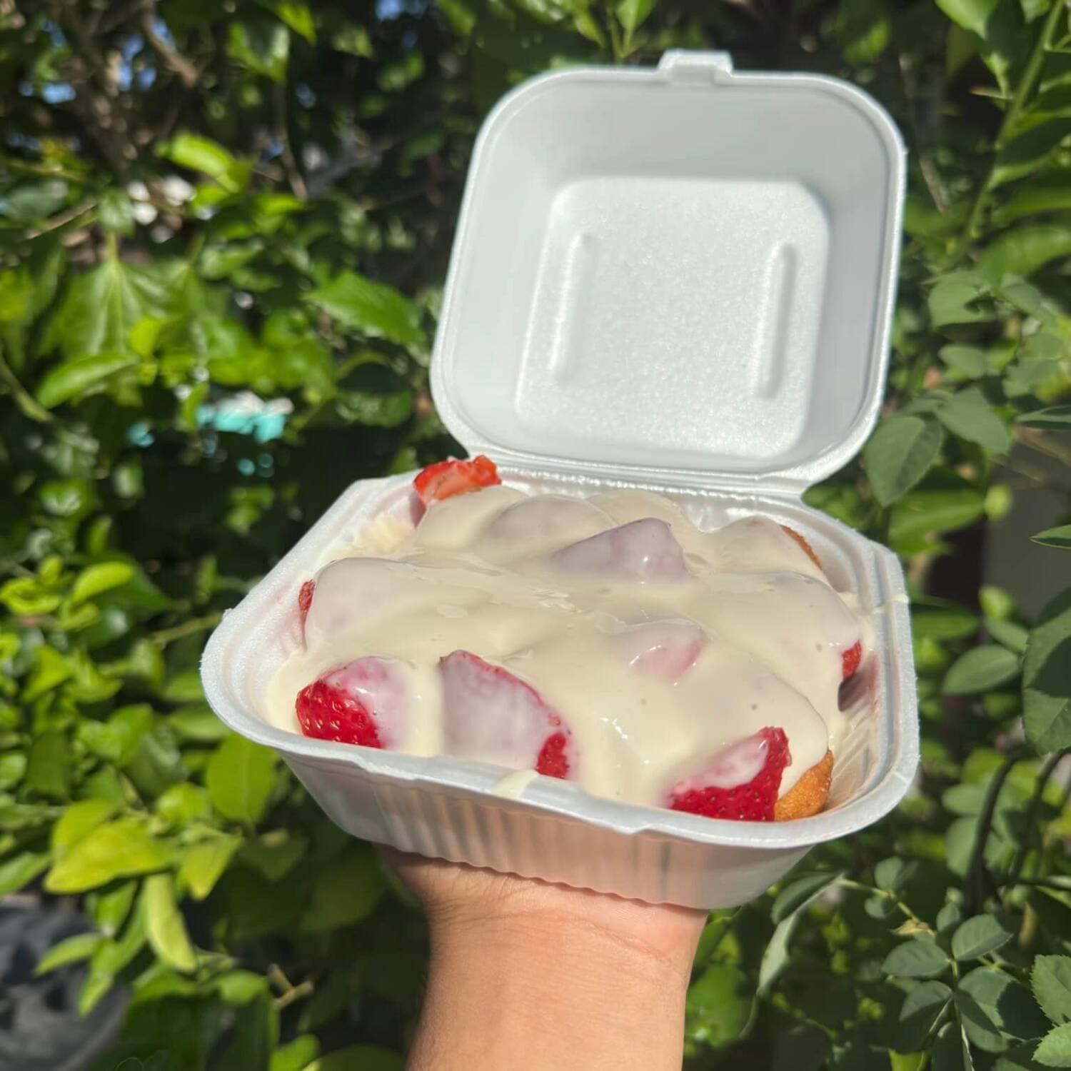 Fresas Domo Chico